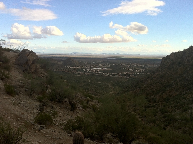 Human remains found on South Mountain in January ID'd by police - Vimarsana News